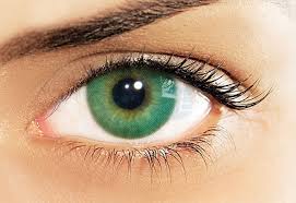 contactpic natural color contacts contact lenses colored colored contacts