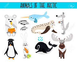 For a more realistic tutorial, check out this video Set Of Cute Cartoon Animals And Birds Of The Arctic On A White Royalty Free Cliparts Vectors And Stock Illustration Image 48879495