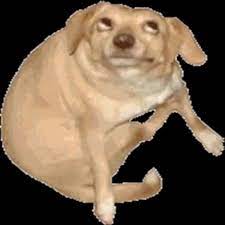 6o163 S Dog Know Your Meme