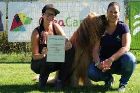 Der besuch einer hundeschule (inkl. Einzeltraining Kurse In Kleingruppen