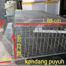We did not find results for: Kandang Burung Puyuh Lazada Indonesia