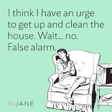 A Clean House Is A Sign Of A Wasted Life Quote The Lazy Girl S Guide To Spring Cleaning Jane Blog Cleaning Quotes Funny Spring Cleaning Quotes Clean Humor