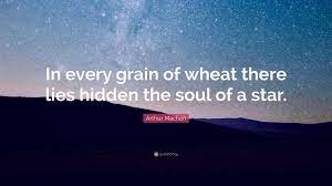 Check spelling or type a new query. Arthur Machen Quote In Every Grain Of Wheat There Lies Hidden The Soul Of A Star