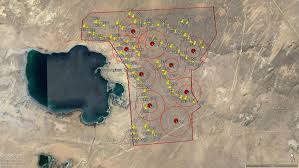 Image result for Zygophyllum leucocladum