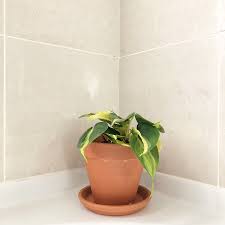 Our flower planters and hanging planters add an elegant touch to indoor and outdoor plants. Indoor Plant Pots How To Pick A Pot For Your Plant And Your Home My Tasteful Space