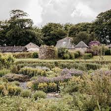 Vanessa Welsh and Jack Ryan's Wedding Website