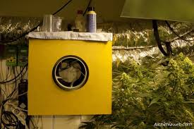 La Ventilation De La Culture De Cannabis Alchimiaweb