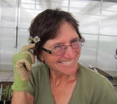 Propagation by Cuttings