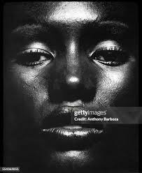 79,007 Lady Jones Stock Photos, High-Res Pictures, and Images