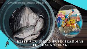 Pelet ikan 200 hingga 300 gram. Resep Jitu Umpan Putih Ikan Mas Sederhana Terbaru 2019 Atmago
