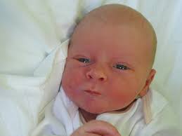 Novorozená miminka Vyškovska 21. týdne 2015