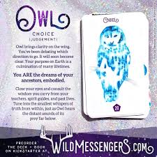 Another way to say wild card? Wild Messengers Tarot Cards Owl Judgement Owl Snowyowl Choice Judgement Tarot Oracle Watercolor Purple Sparkle Tarot Card Decks Tarot Tarot Cards