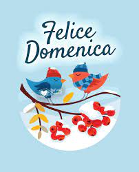 Una selezione speciale con tantissime immagini sempre aggiornate! Immagini Di Buona Domenica Gratis Per Whatsapp E Facebook