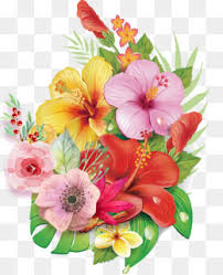 I'm sure you will be thrilled to see realistic flower drawings on a. Flower Arranging Png And Flower Arranging Transparent Clipart Free Download Cleanpng Kisspng