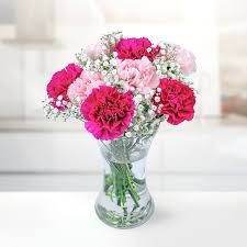 Maybe you would like to learn more about one of these? Carnation Collection B M Flowers