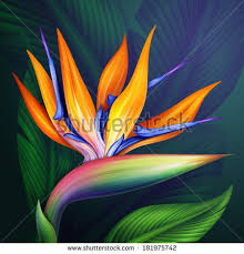 Acrylic Bird Of Paradise Painting Pin On I Like It