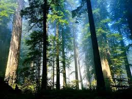 Check spelling or type a new query. Soal Dan Kunci Jawaban Pts Ips Kelas 9 Semester Genap Didno76 Com