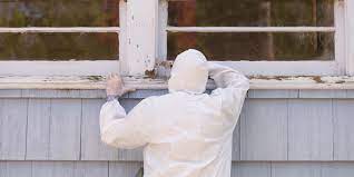 How To Remove Lead Paint | Life Lanes