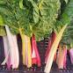 Old Market Farmers Market