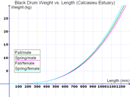 black drum wikipedia