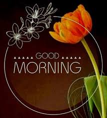 A collection of good morning pictures, images, comments for facebook, whatsapp, instagram and more. Good Morning Images Good Morning Photos Good Morning Pic Good Morning Wallpaper