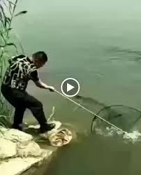 Davut Kucuk Adli Kullanicinin Pano Panosundaki Pin Mizah Komedi Kedi