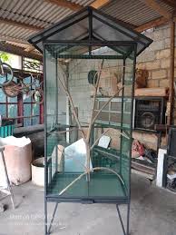 Di perkenalkan sejak awal tahun 2000an yang dulu masih jarang di temukan peternak lovebird namun sekarang berkembang pesat. Kandang Kreasi Kandang Ternak Battre Koloni Dan Umbaran Facebook