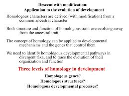 He saw striking patterns in the similarities and differences. Ppt Descent With Modification Application To The Evolution Of Development Powerpoint Presentation Id 3311548
