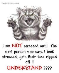 Stress Stressed Out Quotes Stress Quotes Outing Quotes