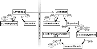 Image result for COMT Inhibitor
