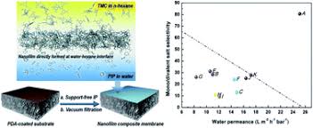 We offer many highly customized materials for specific functions or aestetic decoration purposes. Rapid Water Transport Through Controllable Ultrathin Polyamide Nanofilms For High Performance Nanofiltration Journal Of Materials Chemistry A Rsc Publishing