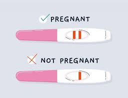 Hcg試驗（hcg pregnancy strip test）是利用檢驗人绒毛膜促性腺激素的方式，判斷是否有懷孕的試驗（妊娠试验） 。hcg（人绒毛膜促性腺激素）是胚胎受精後立刻就會分泌的激素，之後也會由胎盤中的合胞體滋胚層. æ‡·ç–' è‡ªå·±æ‡·å­•äº† æ³¨æ„ä¸‰é»žé©—å­•æ›´æº–ç¢º å¥åº·å¤š1é»ž