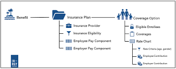 When you apply for either. Understanding The Insurance Benefits Type In Sap Successfactors Employee Central Global Benefits Sap Blogs