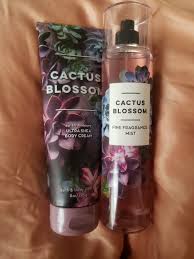 Cactus blossom de bath and body works est un parfum pour homme et femme. Cactus Blossom Shea Body Cream 8oz Cactus Blossom Fine Fragrance Mist 8oz Completely New Bath And Body Works Perfume Body Smells Bath And Body Care