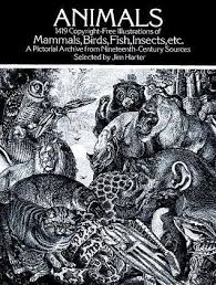 Pdf Download Animals 1 419 Copyright Free Illustrations Of Mammals Birds Fish Insects Etc By Jim Harter Free Epu Animal Books Mammals Free Illustrations