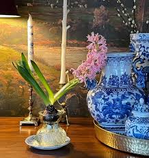 chris carleton (@christinacarleton) • Instagram photos and videos