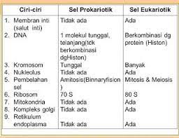 Gambar sel hewan dan sel tumbuhangambar sel hewan dan sel tumbuhan beserta organelnya (membran sel, nukleus, ribosom, vakuola dll) jika perbedaan yang kamu dapatkan masih sedikit (kurang dari 5), maka kamu perlu membaca lebih lanjut artikel dibawah. Tabel Perbedaan Sel Prokariotik Dan Eukariotik Perbedaan Sel Hewan Dan Sel Tumbuhan Perbedaan Sel Prokariotik Dan Eukariotik Pdf Sel Tumbuhan Sel Hewan Mitosis