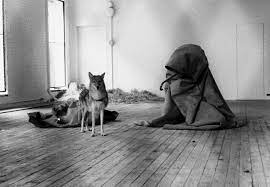 As soon as he got off the plane, he was wrapped in felt and loaded into an ambulance, then driven to the gallery without touching american soil. Joseph Beuys I Like America And America Likes Me View From A Burrow