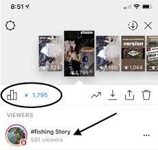 Simple way to download and save instagram stories and stories highlights photos and videos to your pc, mac, phone. How To Get More Instagram Story Views Instantly Nicole Stone Media