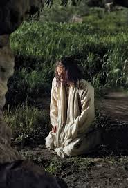 Christ Kneeling In Gethsemane To Pray In 2020 Jesus Pictures Pictures Of Jesus Christ Jesus Praying