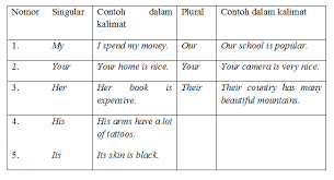 Contoh kalimat possessive adjective merupakan materi pelajaran kita kali ini. Bahasa Inggris Softskill Review Materi Semester 1