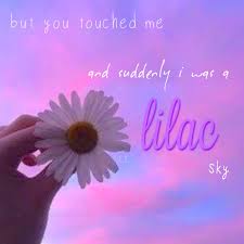 I'm searching for something that i can't reach / i don't like them innocent, i don't want no face fresh / want them wearing leather, begging, let me be your taste test / i like the Lost Lyrics On Twitter Colors Halsey Aesthetic Lyrics Colors Halsey Lostlyrics