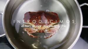 El buey de mar relleno lo hemos comido en muchas ocasiones, unos mejores que otros, así que hemos buscado y probado intentado dar con la receta del relleno que realmente nos gusta. Como Cocer Un Buey De Mar By O Percebeiro Youtube