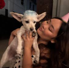 thank u for all the bday wishes, my heart is full❣️🎂