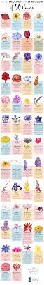 The Etymology And Symbolism Of 50 Flowers Infographic Different Kinds Of Flowers Types Of Flowers Flower Names