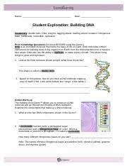 Form popularity building dna answer key pdf form. Assignment Vii 3 Building Dna Gizmo Doc Name Date Student Exploration Building Dna Vocabulary Double Helix Dna Enzyme Lagging Strand Leading Strand Course Hero