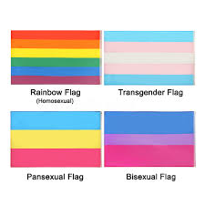 Pride flags are very commonly used in the moodboard and stimboard communities on tumblr, but also used by corporations in pride month. Lgbt 3x5 Ft Large Flag Gay Pride Lesbian Transgender Lgbtq Banner Parade 90x150cm Shopee Malaysia