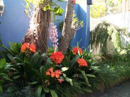 Plan To Plant Garden Design Services Brisbane Garden Designs