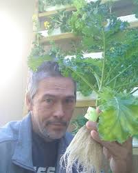 Simplistic Hydroponic Plant Growth Without Soil