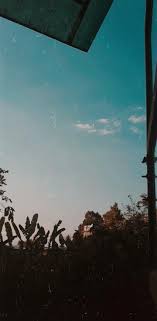 Foto gratis awan estetika pohon kekeruhan suasana hati. Pin Di Perspective